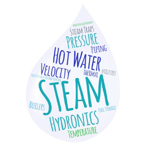 Steam Hydronic Products