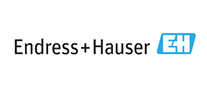 Endress+Hauser Representative